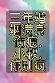 三年婚姻满身伤痕，小叔，你别疯封面