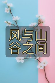 风与山谷之间封面